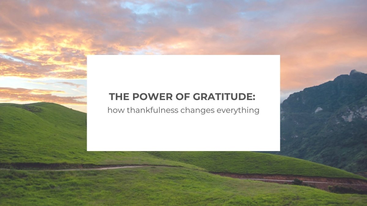 The Power of Gratitude: How Thankfulness Changes Everything - Salt and Honey Clothing